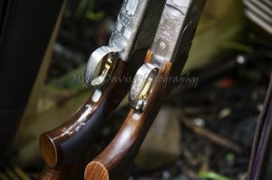 _june 10 national ladies shooting day 2017 2.jpg